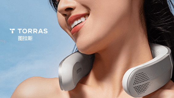 網(wǎng)站設(shè)計案例